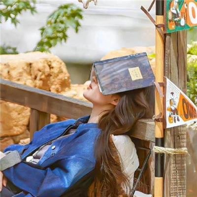 流行歌星：永不停歇